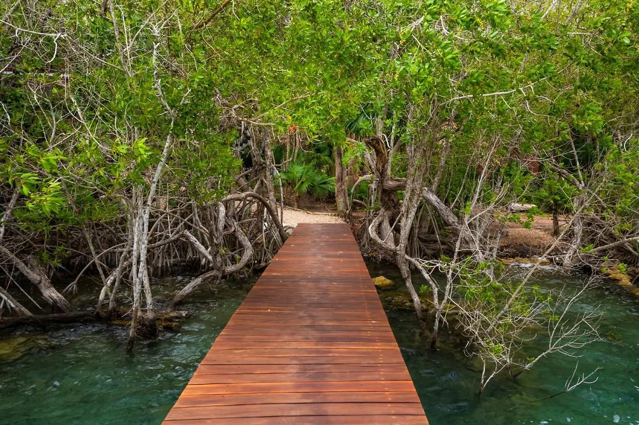 Santa Cruz Chico Laguna Bacalar Ichkiichpan 0*, Santa Cruz Chico מקסיקו